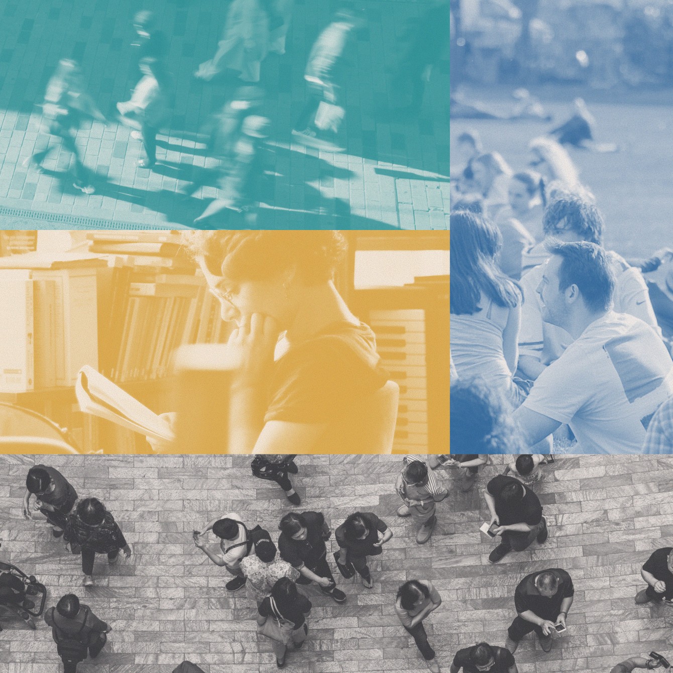 Social Science is the New Business Science